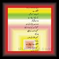 Dr.Gazala Shaheen_Bot pr002 * 22.03.2008 * 395 x 808 * (38KB)